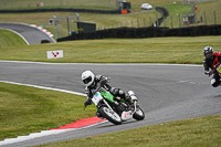 Lower Group Green Bikes